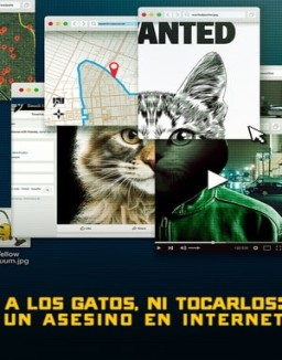 A los gatos ni tocarlos: Un asesino en Internet stream