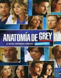 Anatomía de Grey T8