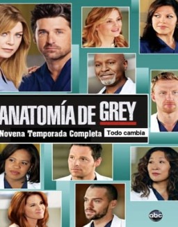 Anatomía de Grey T9