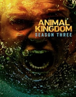 Animal Kingdom T3