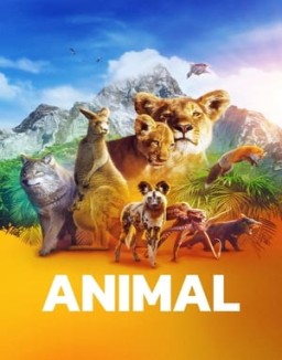 Animal temporada  1 online