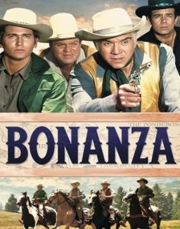 Bonanza T14