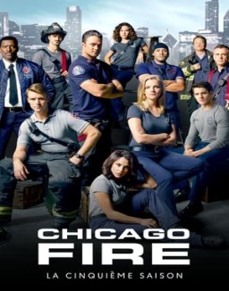 Chicago Fire temporada  5 online