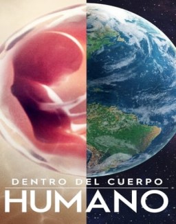 Dentro del cuerpo humano T1