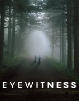 Eyewitness stream