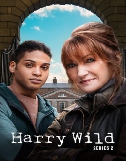 Harry Wild temporada  2 online