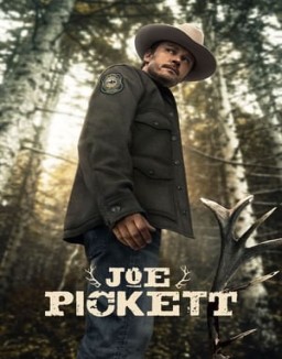 Joe Pickett temporada  1 online