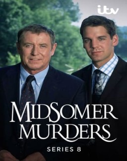 Los asesinatos de Midsomer temporada  8 online