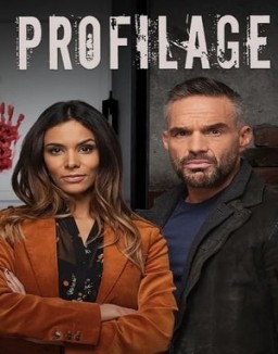 Profilage temporada  9 online