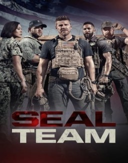 SEAL Team stream